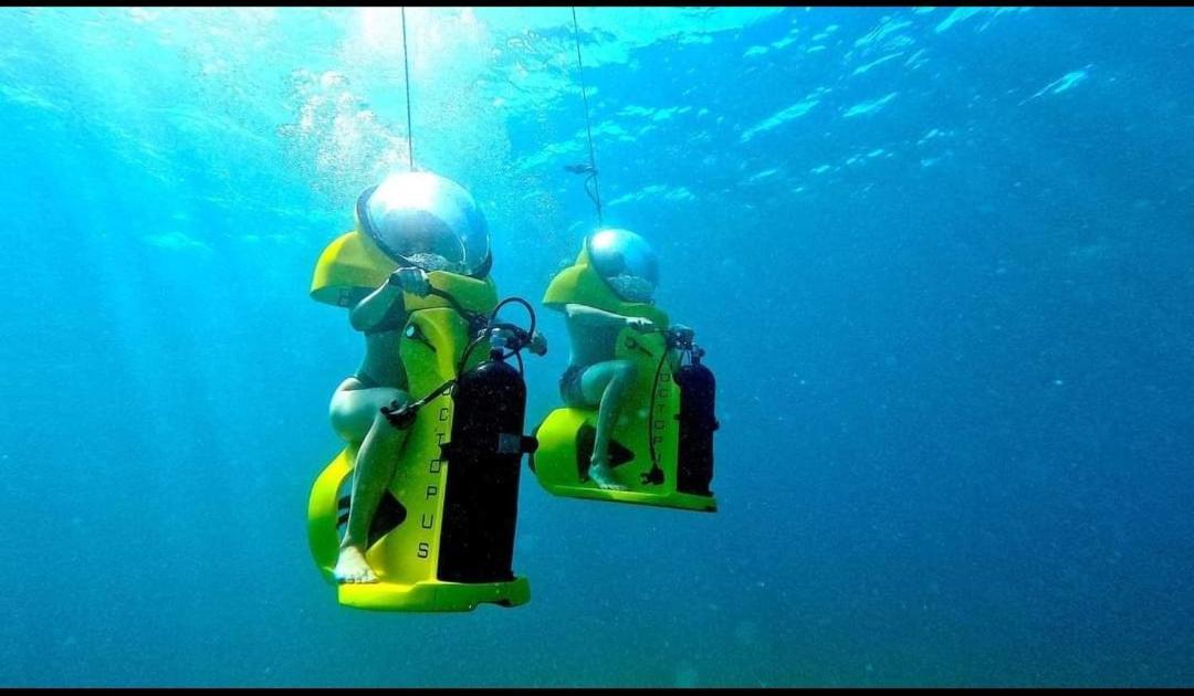 Ellmar Daire Medulin Dış mekan fotoğraf